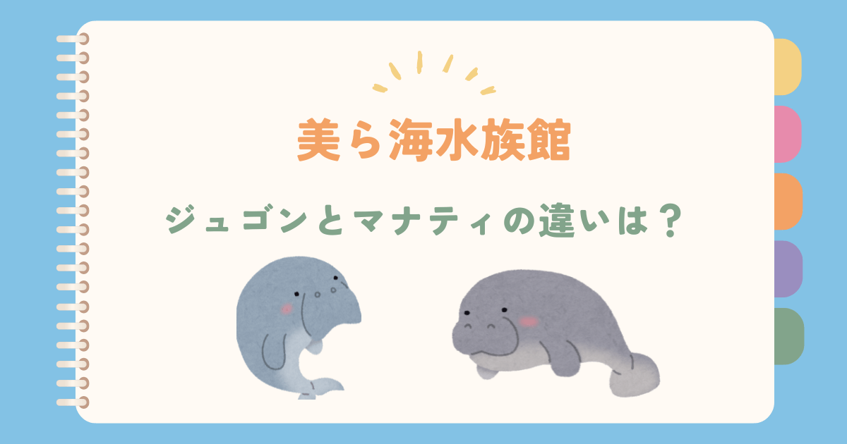 美ら海水族館にジュゴンはいない！いるのはマナティ！違い