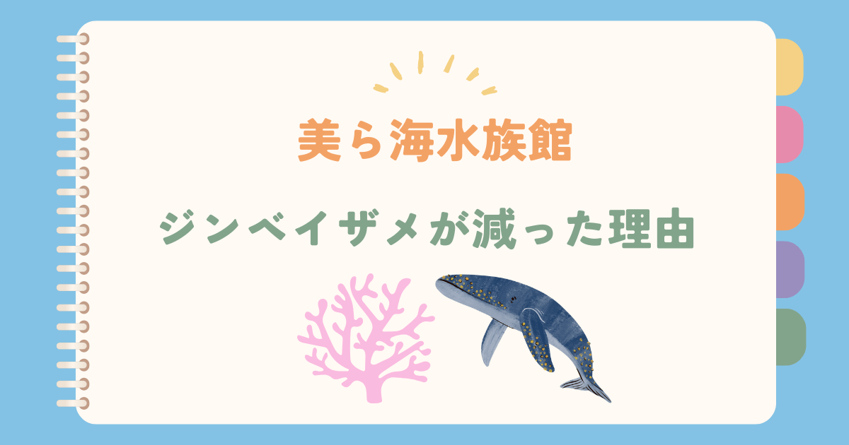 美ら海水族館のジンベイザメが減った理由