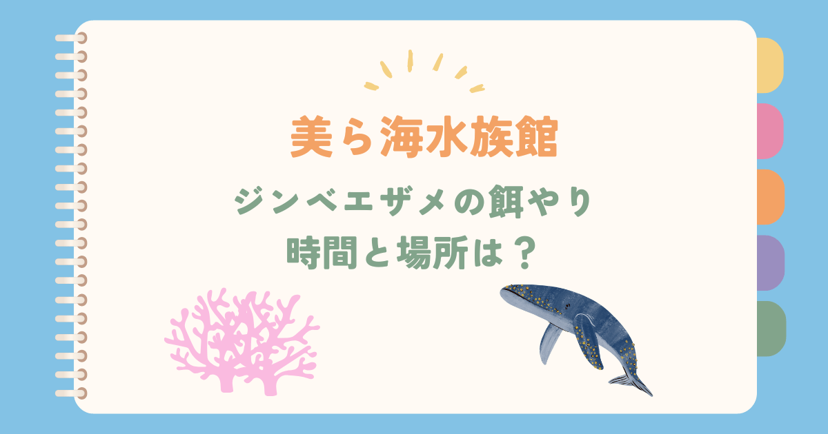 美ら海水族館のジンベエザメ餌やり時間と場所