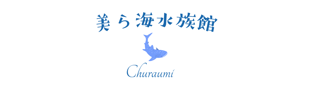 あおぞら日和　ブログ